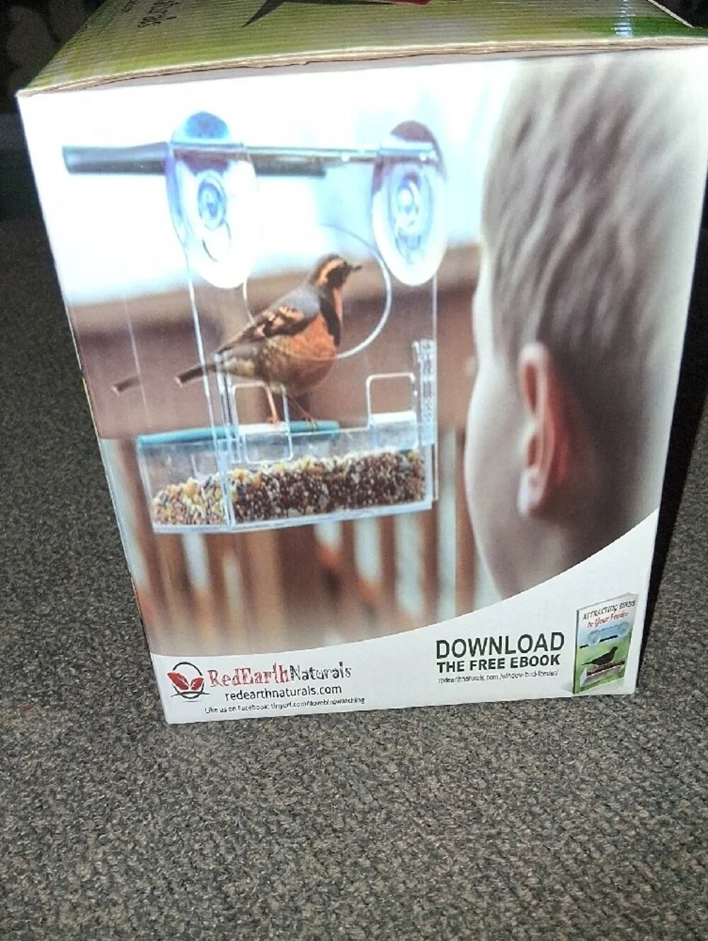 Window Bird Feeder